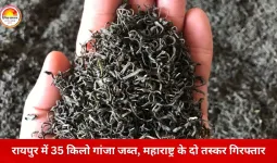 रायपुर में गांजा तस्करी का खुलासा: महाराष्ट्र के दो आरोपी गिरफ्तार, पुलिस वाहन को टक्कर मारकर भागने की कोशिश नाकाम