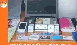 फर्जी इनवॉइस से 14 करोड़ की GST चोरी: रायपुर में DGGI की बड़ी कार्रवाई, कारोबारी संतोष वाधवानी गिरफ्तार