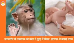 जांजगीर में चमत्कार: बंदर ने 15 दिन की नवजात को कुएं में गिराया, डायपर ने बचाई जान