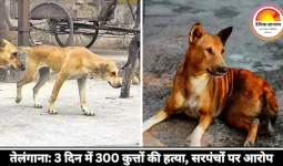 तेलंगाना में मानवता शर्मसार: 3 दिन में 300 आवारा कुत्तों को मौत, गांव के सरपंचों पर FIR