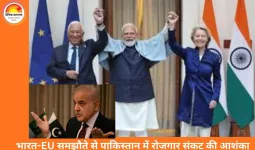 भारत-EU फ्री ट्रेड डील से पाकिस्तान की अर्थव्यवस्था पर दबाव, 1 करोड़ नौकरियों पर संकट के बादल