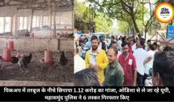 बिलासपुर में बर्ड फ्लू का कहर, चिकन-अंडा दुकानों पर प्रतिबंध, कारोबारियों ने विधायक बंगले का घेराव किया