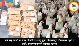 बर्ड फ्लू अलर्ट के बीच दिल्ली से आए चूजे, बिलासपुर स्टेशन पर खुले में उतरे, संक्रमण फैलने का बढ़ा खतरा