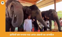 अनंत अंबानी का जन्मदिन जयपुर में खास अंदाज में मना: हाथियों संग काटा केक, 3000 किलो फलों की दावत बनी आकर्षण