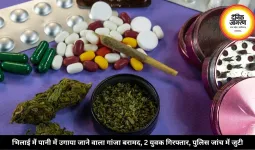 भिलाई में पानी में उगाया जाने वाला गांजा बरामद, 2 युवक गिरफ्तार, पुलिस जांच में जुटी