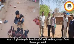 दंतेवाड़ा में गुलेल से 9 दुर्लभ शेकरू गिलहरियों का शिकार किया, इंस्टाग्राम रील से गिरफ्तार हुआ आरोपी