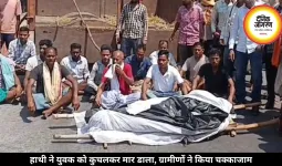 हाथी ने युवक को कुचलकर मार डाला, ग्रामीणों ने किया चक्काजाम