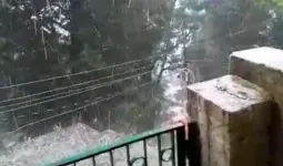 VIDEO : नैनीताल में अचानक बदला मौसम, तेज आंधी और ओलावृष्टि से जनजीवन प्रभावित