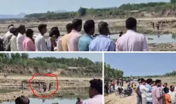 मगरमच्छ का खौफ- 12 साल के मासूम को बनाया शिकार