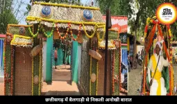 ना DJ, ना लग्जरी कार... बैलगाड़ी पर बारात लेकर गया दूल्हा, लोगों ने कहा- यही असली शादी