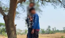 सरगुजा में प्रेमी जोड़े के शव पेड़ पर लटके मिले