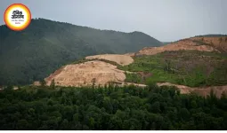 जंगलों के 10 किमी दायरे में आरा मिलों पर रोक बरकरार, हाईकोर्ट ने 19 याचिकाएं खारिज कीं