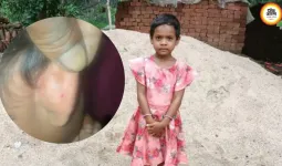 कोरबा में पिता के साथ सो रही 6 साल की बच्ची को करैत ने डसा, मौत