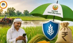 खरीफ फसल बीमा की आखिरी तारीख 31 जुलाई, धान समेत 8 फसलों पर मिलेगा सुरक्षा कवच
