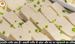 एनालॉग पनीर क्या है? असली पनीर से अंतर और घर पर पहचानने का तरीका