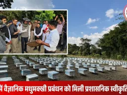 मधेपुरा के डीएम ने रामगंज वैज्ञानिक शहद परियोजना को उत्तर बिहार का मॉडल बताया