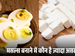 हाई प्रोटीन डाइट: अंडा बेहतर या पनीर? जानें किससे मिलेगा ज्यादा फायदा