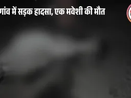 उमरिया में बोलेरो ने 5 मवेशियों को रौंदा, एक की मौत; ग्रामीणों में आक्रोश