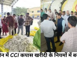 खरगोन में CCI कपास खरीदी के नियमों में बदलाव: 14 क्विंटल प्रति हेक्टेयर का मानक खत्म