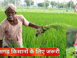 छत्तीसगढ़ के किसानों के लिए बड़ी खबर: रबी फसलों का बीमा कराने की अंतिम तिथि 31 दिसंबर 2025