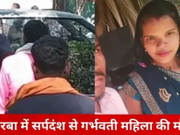 कोरबा में दर्दनाक हादसा: जहरीले सांप के डसने से 8 माह की गर्भवती महिला की मौत, 10 महीने पहले हुई थी शादी