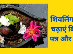 संकष्टी चतुर्थी 2025: शिवलिंग पर चढ़ाएं ये चीजें, मिलेगा विशेष कल्याण