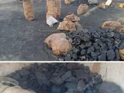 कोयला माफिया पर पुलिस का प्रहार: जंगल में छिपाया गया 3 टन अवैध कोयला जब्त, बड़ा नेटवर्क बेनकाब