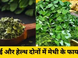 मेथी या कसूरी मेथी: जानिए कैसे पहचानें ये दो अलग पौधे