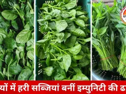 सर्दियों में हरी साग-सब्जियां बनीं सेहत का संजीवनी सूत्र, डॉक्टरों ने नियमित सेवन की दी सलाह