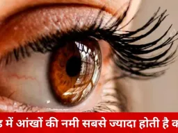 ठंड में आंखों का रखें खास ख्याल: तेज रोशनी और स्वस्थ दृष्टि के लिए दिनचर्या में शामिल करें ये आसान एक्सरसाइज