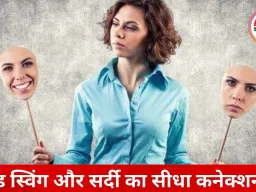 ठंड के मौसम में बढ़ रहा है मूड स्विंग और तनाव, डॉक्टरों ने दी सतर्क रहने की सलाह