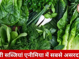 ठंड में Hemoglobin बढ़ाने वाले फूड्स: खून की कमी से परेशान हैं? डाइट में शामिल करें ये आहार