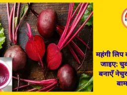 घर पर बनाएँ वायरल बीटरूट लिप बाम — होंठ होंगे गुलाबी और नरम