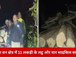 बिलासपुर में सागौन तस्करी पकड़ में आई, 11 लकड़ी के लट्ठे और चार साइकिल बरामद