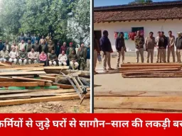 कोरबा में वन विभाग की बड़ी कार्रवाई, वनकर्मियों से जुड़े ठिकानों पर छापे में 2.21 लाख की इमारती लकड़ी जब्त