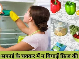 फ्रिज में मैट बिछाने की आदत पड़ सकती है भारी, सेहत के साथ बढ़ सकता है बिजली का बिल