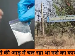 आगर मालवा में पौधों की नर्सरी की आड़ में एमडी ड्रग्स फैक्ट्री का भंडाफोड़, नारकोटिक्स ने 10 करोड़ का नशा पकड़ा