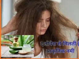 बालों के रूखेपन और फ्रिजीनेस से परेशान? एलोवेरा से पाएँ प्राकृतिक नमी और स्मूद हेयर