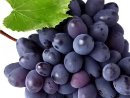 काला अंगूर: स्वास्थ्य के लिए सुपरफूड, जानिए रोजाना खाने के फायदे