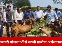 कृषि और पशुपालन से बदली ग्रामीण तस्वीर, सरकारी योजनाओं ने किसानों को बनाया उद्यमी