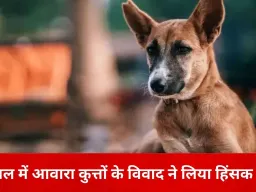 भोपाल में पेट लवर्स का हिंसक विरोध: आवारा कुत्तों की शिकायत पर दो महिलाओं पर तलवार से हमला, CCTV में कैद वारदात