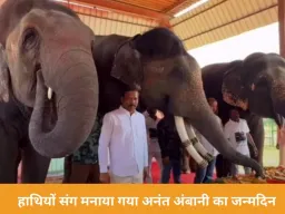 अनंत अंबानी का जन्मदिन जयपुर में खास अंदाज में मना: हाथियों संग काटा केक, 3000 किलो फलों की दावत बनी आकर्षण
