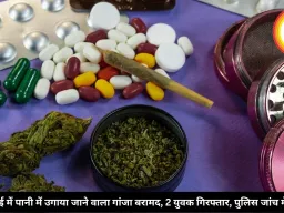 भिलाई में पानी में उगाया जाने वाला गांजा बरामद, 2 युवक गिरफ्तार, पुलिस जांच में जुटी