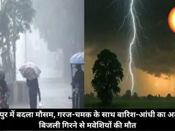 रायपुर में बदला मौसम, गरज-चमक के साथ बारिश-आंधी का अलर्ट, बिजली गिरने से मवेशियों की मौत