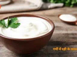गर्मी में दही के फायदे: पाचन से लेकर इम्यूनिटी तक वरदान