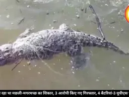 करंट से हो रहा था मछली-मगरमच्छ का शिकार, 3 आरोपी किए गए गिरफ्तार, 4 बैटरियां-3 यूपीएस भी बरामद