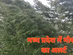 मध्य प्रदेश में मौसम का अलर्ट: 42 जिलों में आंधी-बारिश-ओलावृष्टि, 9 जिलों में ऑरेंज चेतावनी