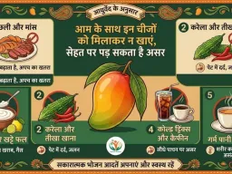 आम के साथ इन चीजों को मिलाकर न खाएं, सेहत पर पड़ सकता है असर