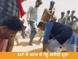 MP में आज से चार संभागों में गेहूं खरीदी शुरू, किसानों का तिलक लगाकर स्वागत करेंगे मंत्री; कांग्रेस करेगी कलेक्टर कार्यालयों का घेराव