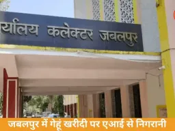 जबलपुर में गेहूं उपार्जन की निगरानी में जेनरेटिव एआई का इस्तेमाल, 47 ब्लैकलिस्ट समितियों की समीक्षा